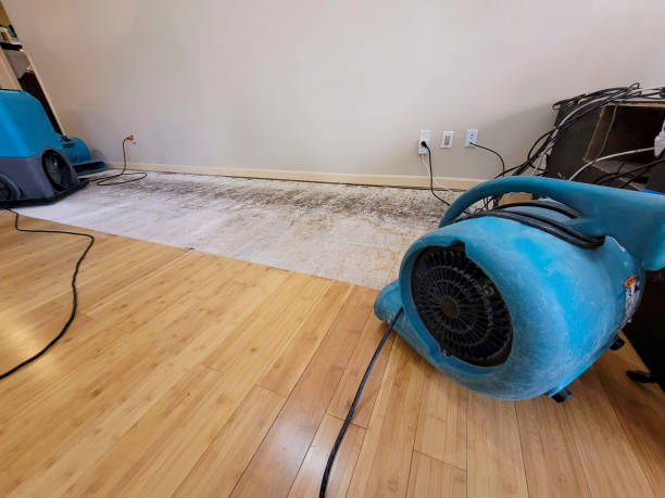 Professional Ceiling Water Damage Repair technician working in Georgetown, DE